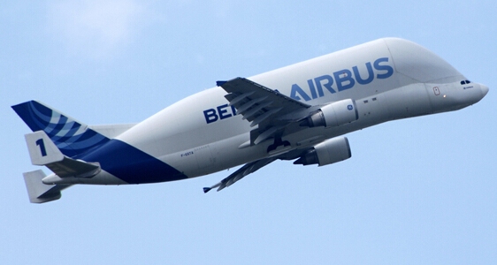 大白鯨航空運(yùn)輸機(jī)